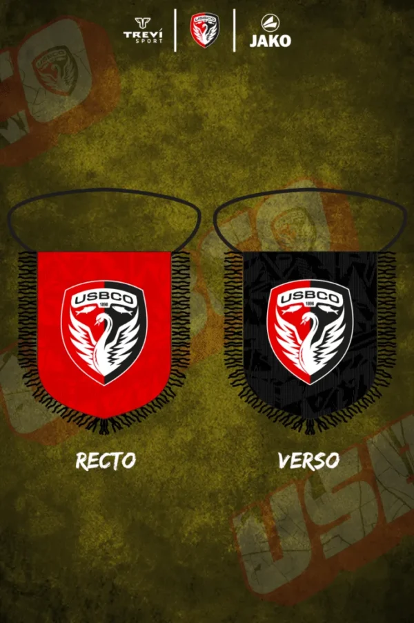 Fanion rétroviseur USBCO 25/26