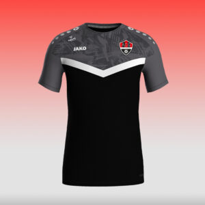 T-shirt Iconic Noir ACG - 25/26