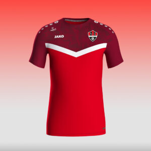 T-shirt Iconic Rouge ACG - 25/26