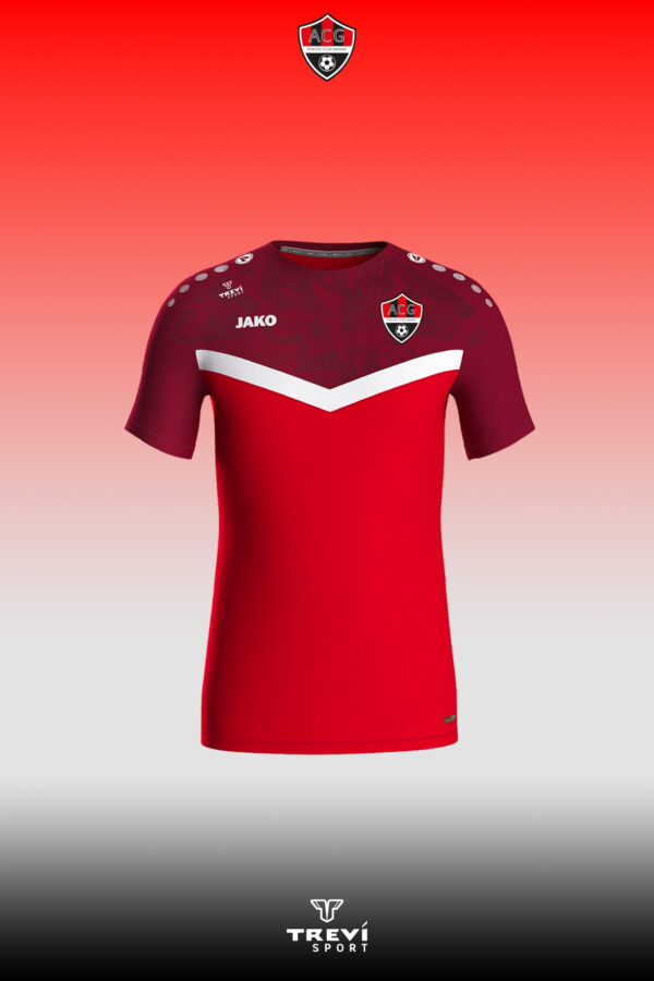 T-shirt Iconic Rouge ACG - 25/26
