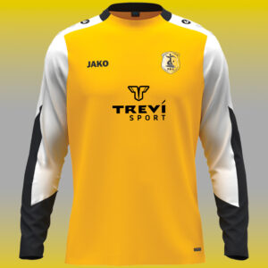 Maillot manches longues DYNAMIC - PBA - 25/26