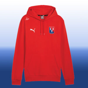 Sweat Hoodie teamGoal Doazit - 25/26