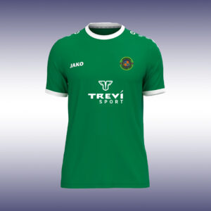 Maillot JAKO ONE Vert/blanc - BSC 26/27