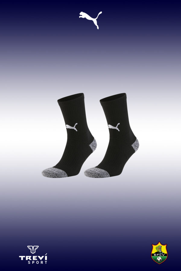Chaussettes Performance TeamGoal EFCV 26/27