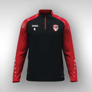 1/4 Zip Sonic - USBCO 26/27
