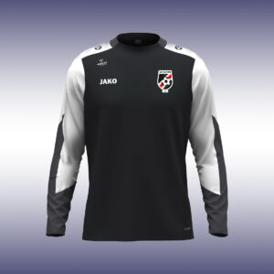 Maillot Dynamic ML USA - 26/27